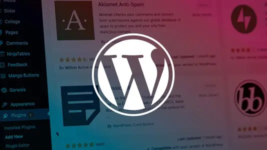 Wordpress Schulung